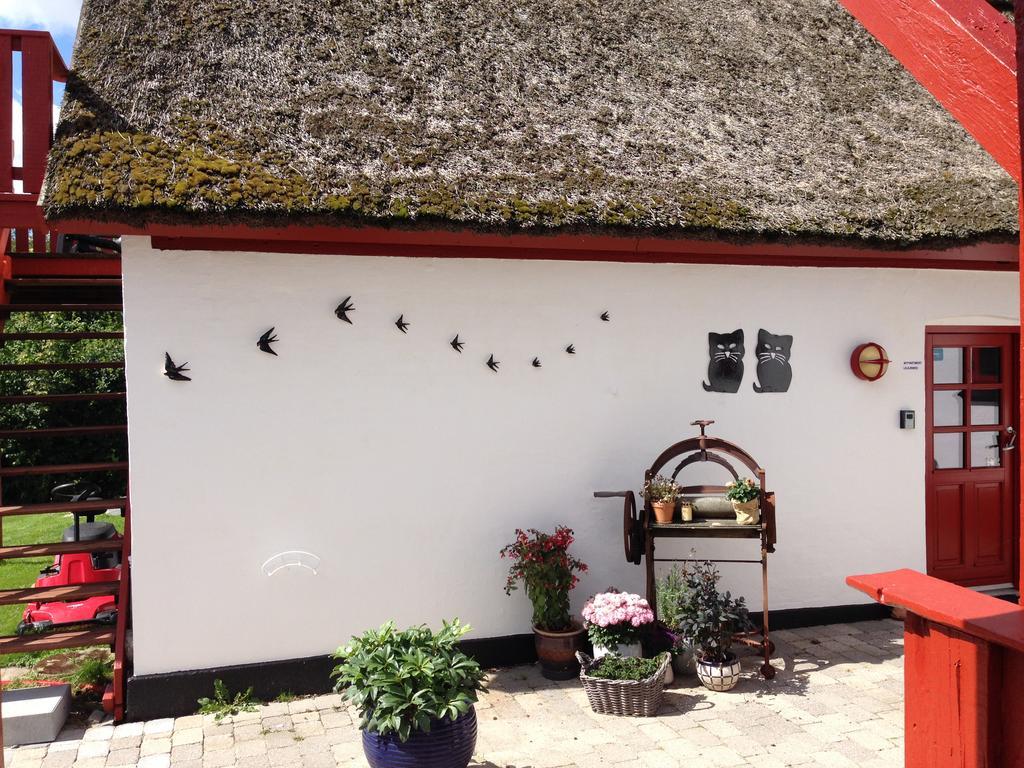Bulbrovejs Bed & Breakfast Havdrup Exterior foto